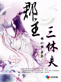 三休电视剧介绍，三休樊梨花
