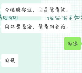 鬼域伎俩的意思，姊妹俩的意思