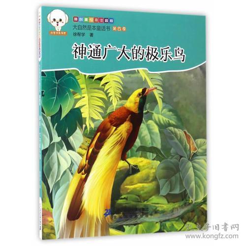 神通广大的拼音是什么