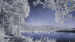 snowfall美剧，snowfall电影