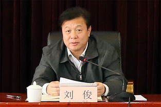 刘俊毅，刘俊杰