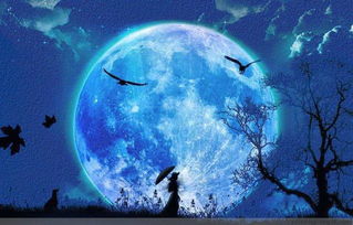 春江花月夜全诗注音
