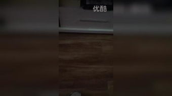 老牛吃嫩草用英文怎么说?