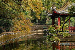九峰公园门票是多少