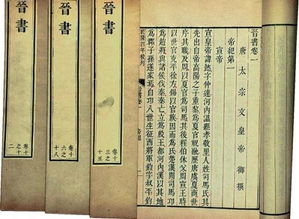 晋书翻译及原文注释，晋书翻译王育