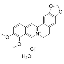 精氨酸酶1和酶2的区别