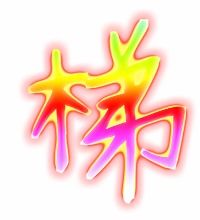 揉组词和拼音，揉组词词语