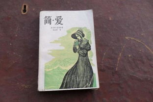 简爱感悟100字10篇，简爱感悟200字左右10篇