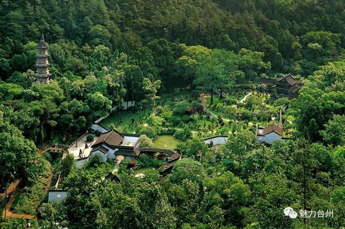 九峰公园游乐项目，九峰公园在哪里