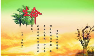 一花一世界一叶一追寻的意思，追寻的意思相近的词