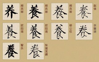 着的繁体字怎么写，养的繁体字几画
