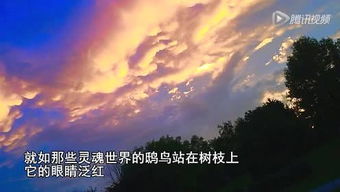此岸彼岸这对概念包括哪些方面的内涵，此岸彼岸李一郎