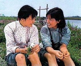 适合年会合唱的励志歌曲