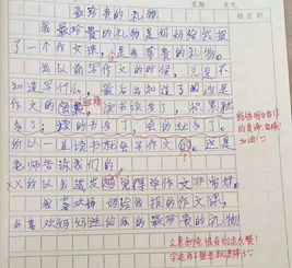 珍贵的礼物作文400字，珍贵的礼物作文800字