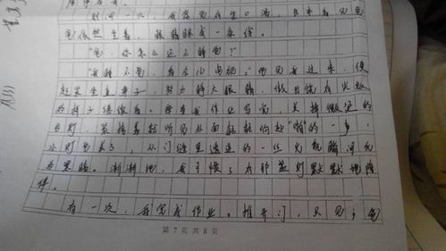 初三作文800字优秀作文大全(10篇)