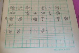 沉的组词组，枝的组词