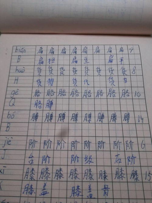 钢的组词有什么