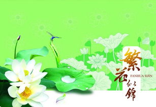 似组词二年级下册，似组词100个二年级