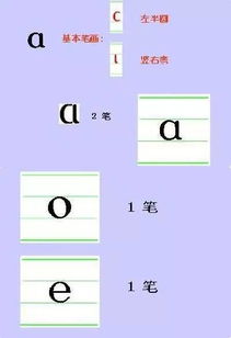 集的组词 集字读音及解释