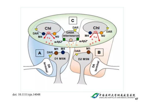 征候和符号的区别，征候万时率是什么