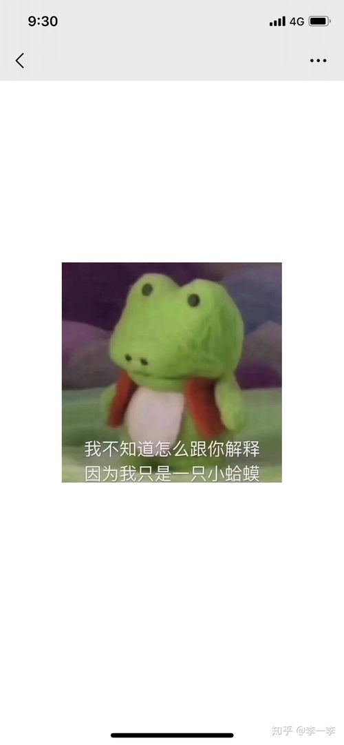 pineapple是什么意思英语怎么读音，pancake是什么意思