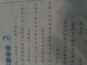 1是质数吗?不是质数是什么数呢?，101是质数吗