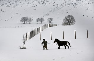 天寒地冻的意思用具体的情景表现出来，冰天雪地的意思