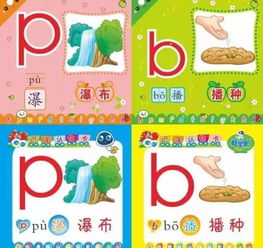 秩序的多音字