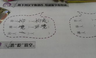 尖组什么词?