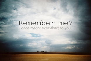 rember的用法