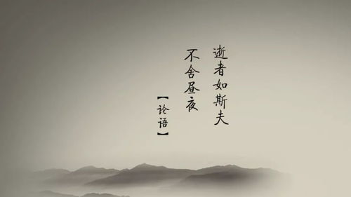 莫等闲白了少年头空悲切是谁写的，莫等闲白了少年头空悲切这句话的意思是什么