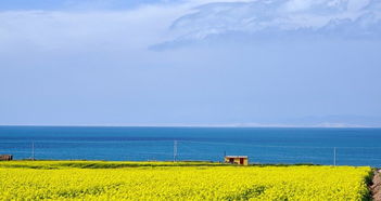 青海湖自助游怎么去，青海湖自助游攻略资料