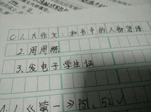 描写人物的作文500字优秀作文，描写人物的作文500字妈妈