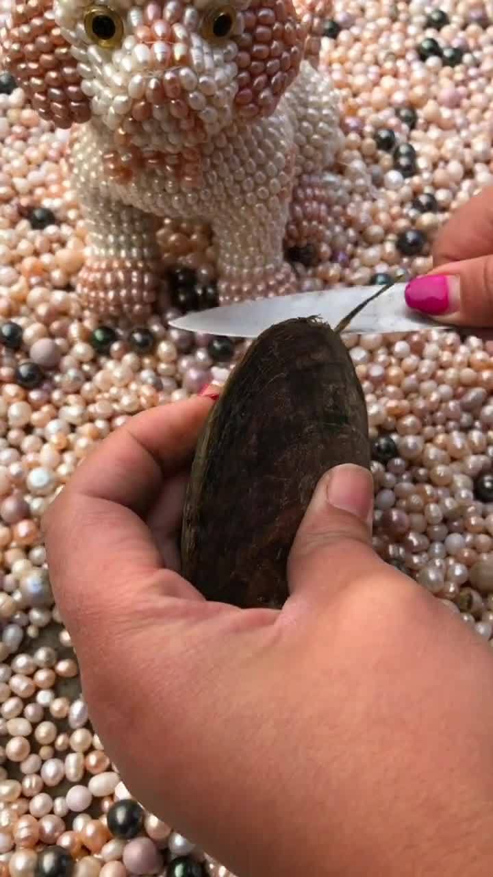 蚌怎么读