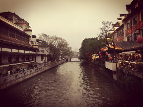乌衣巷口夕阳斜的斜读什么，乌衣巷口夕阳斜,旧时王谢堂前燕,飞入寻常百姓家