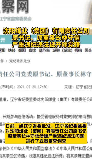 沈煤集团公司董事长林守信抓起来没?