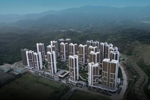 实地调查是什么意思