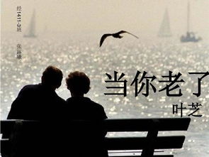 沉默支撑越过陌生,静静看着凌晨黄昏是歌词吗?