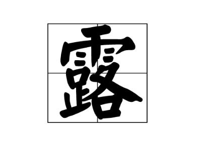 露出的读音正确?