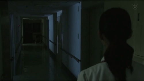 猫和老鼠灵异事件图片，青海湟源女老师灵异事件图片