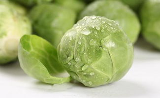 英语的白菜为什么叫china cabbage 呢