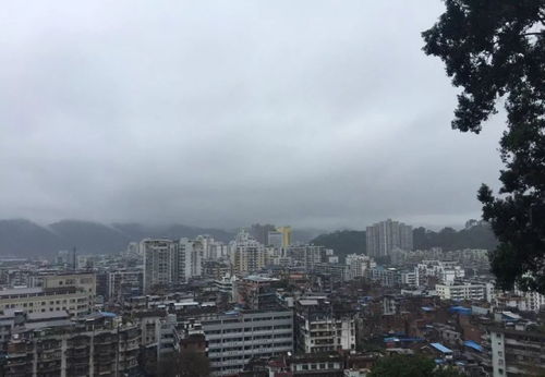 明天梧州的天气如何?