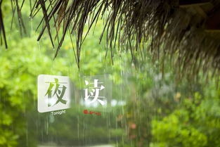 四季的雨阅读题及答案，四季的雨的特点