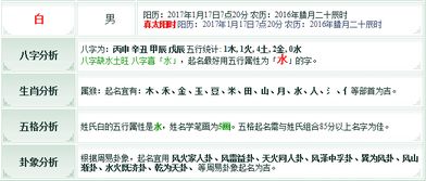 白人姓氏男孩名字全集