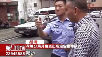 胡清塞北尘的意思胡清塞北尘的意思是什么