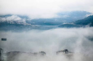 空山新雨后这首古诗的意思?