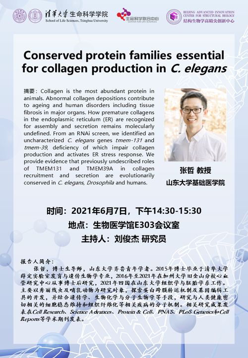 preserve,reserve,conserve作为保存有什么区别啊?怎么用?