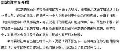 怒放的生命歌词 汪峰