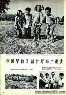 大跃进运动和人民公社化运动严重违背，大跃进运动起止时间