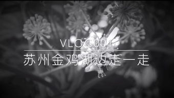 飘来荡去子非鱼，飘来荡去的近义词